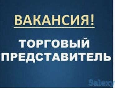 торговый агент с личным авто бишкек в Кыргызстан: Торговый агент. С опытом. 6/1