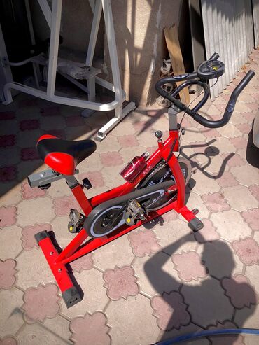 красный женьшень: Полупрофессиональный велотренажер 🔥 Последние, поэтому очень дёшево