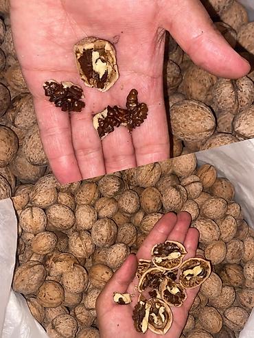 кап орех: Грецкий орех в скорлупе свежие вкусные натуральные грецкие орехи — 1