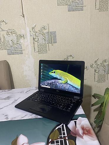 dell komputer: İşlənmiş Dell Latitude, 12.5 ", Intel Core i5, 128 GB, Ünvandan götürmə, Pulsuz çatdırılma, Ödənişli çatdırılma — 2