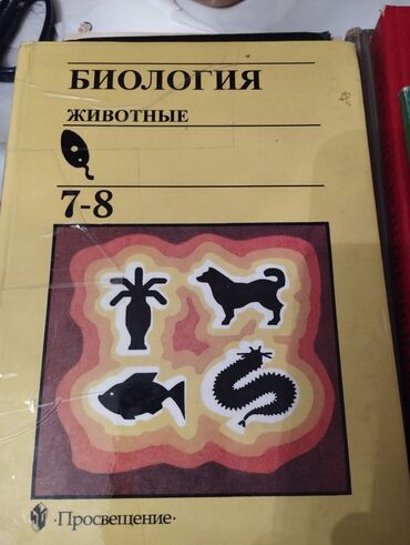 умные часы для детей бишкек: Книги для детей 
каждая по 500 сом