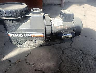 fire maple: Насос для бассейна/спа Jacuzzi Magnum с электродвигателем Magnetek — 5
