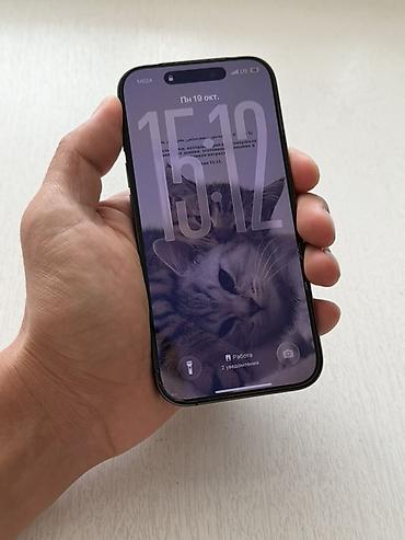 iphone 17 pro max: IPhone 17, Б/у, 256 ГБ, Черный, Защитное стекло, Чехол, Коробка, 95 % — 2