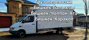 панель на спринтер: Бус, Переезд, перевозка мебели, По региону, По городу, с грузчиком