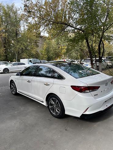 sonata nf: Hyundai Sonata: 2020 г., 2 л, Автомат, Гибрид, Седан — 2
