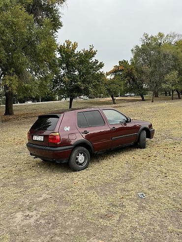 Volkswagen: Volkswagen Golf: 1993 г., 1.8 л, Хетчбек — 8