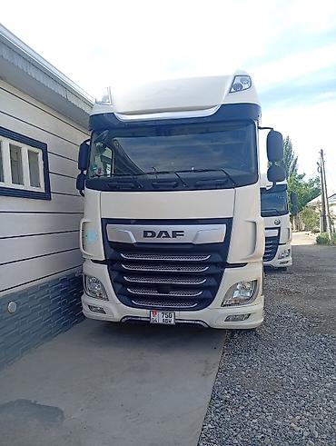 Тягачи: Тягач, DAF, 2019 г., Холодильник, рефрижератор — 1