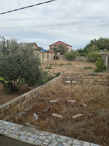 Torpaq sahələrinin satışı: 12 sot, Tikinti, Mülkiyyətçi, Kupça (Çıxarış) — 4