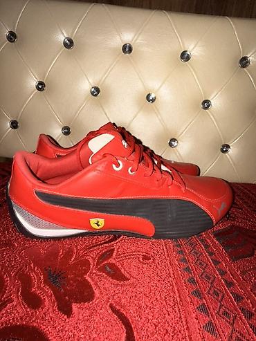 qırmızı vinston: Orijinal Puma Ferrari SportLifestyle Ölçü: EU 41 Vəziyyəti çox — 3