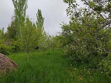 Продажа коттеджей и домов: Продается дом с. Кутургу Иссык-Кульская область. Участок 38 соток. В — 14