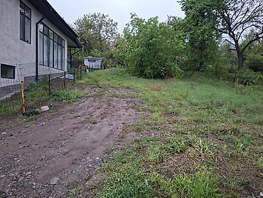 green hill: 4 соток, Для строительства, Красная книга — 6