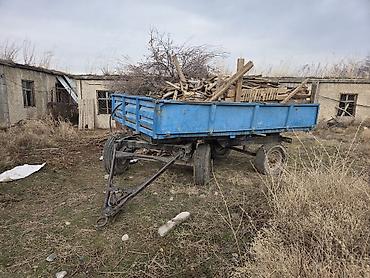 Тракторы МТЗ (Беларус): Модель: 80, Б/у, 1984 г., Трактор с другими агрегатами — 6