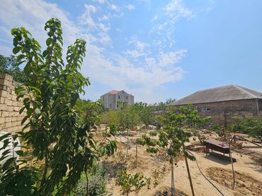 Həyət evləri və villaların satışı: Binəqədi qəs. 8 otaq, 300 kv. m, Yeni təmirli — 18