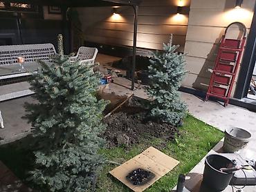 Газон: Автополив газона — легко и удобно! Установим систему автополива под — 5