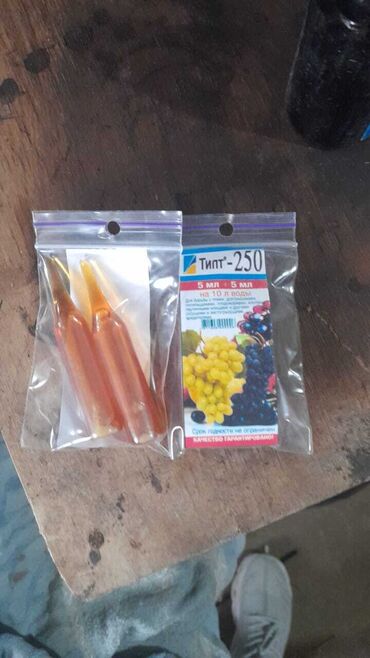 Kakabit: Bitkilər üçün SKOR və TİP-250 kimi müalicəvi preparatlar. Bağınızda və — 2