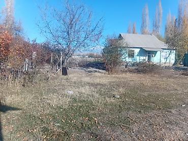 Продажа коттеджей и домов: Продаётся домовладение с участком. - Два отдельно стоящих жилых дома — 4