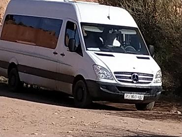 rex sprinter: Заказать Бус — 2