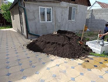 Грунт, чернозем: Портер — 1