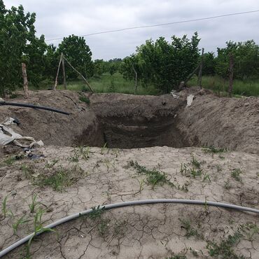 Torpaq sahələrinin satışı: 106 sot, Kənd təsərrüfatı, Mülkiyyətçi, Kupça (Çıxarış) — 11