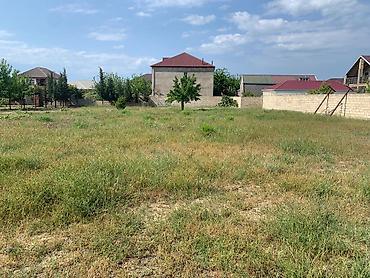 bartee: 12 sot, Tikinti, Mülkiyyətçi, Kupça (Çıxarış) — 4