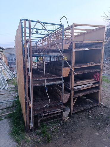 С/х животные и товары: Продаю срочно цыплятники с поилками. Помещается от 1000 до 1500
