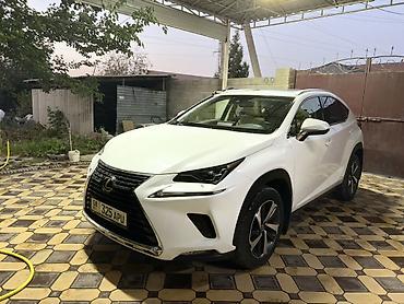 sprinter rex: Lexus NX: 2018 г., 2.5 л, Автомат, Бензин, Кроссовер — 6