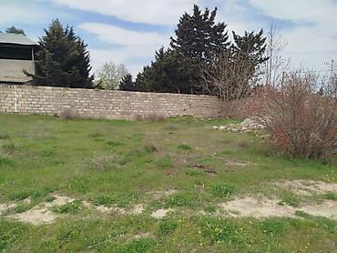 goradil: 4 sot, Tikinti, Maklerlər narahat etməsin, Kupça (Çıxarış) — 3