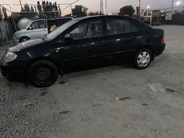 тойота королла дизель: Toyota Corolla: 2005 г., 1.8 л, Автоматические, Бензин, Седан