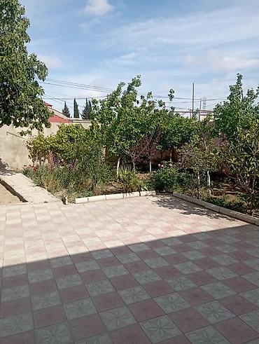 bag evi satisi: Kiraye: həyətyanı ev - Tam mülkiyyəti olan, hasarlı həyətyanı sahə və — 2