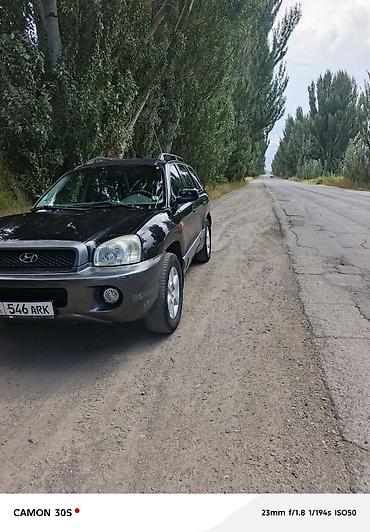 киа внедорожник: Hyundai Santa Fe: 2003 г., 2.4 л, Механика, Газ, Кроссовер — 2