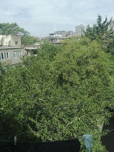 ev menzil: Bakı, 3 otaqlı, Köhnə tikili, m. 28 may, 63 kv. m — 5