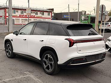 Hozon: Hozon Neta L: 2024 г., 1.5 л, Автомат, Гибрид, Кроссовер — 4