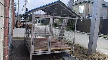 Металлические заборы: Продаю собачий вольер . Размеры: ​Ширина: 157 см ​Длина — 1