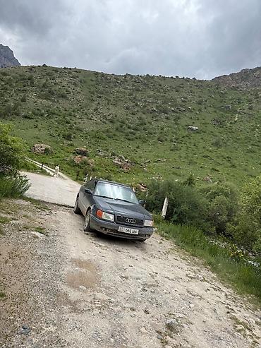 кводроцикл мото: Audi 100: 1991 г., 2.3 л, Механика, Бензин, Седан — 1