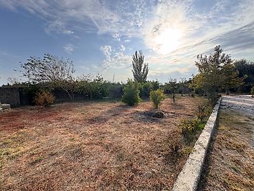 Torpaq: 4 sot, Mülkiyyətçi, Kupça (Çıxarış) — 8