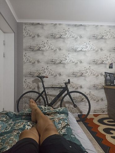 фикс балыкчы: Шаардык велосипед, Велосипед алкагы M (156 - 178 см), Колдонулган