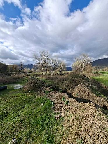 Daşınmaz əmlak: 110 sot, Biznes üçün, Kupça (Çıxarış) — 6