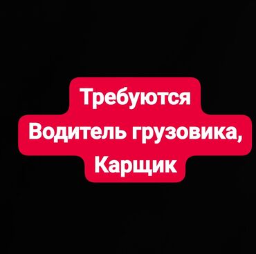 сдаю аптеку: В торговую компанию требуется водитель грузовика 5 ТН, и карщик на