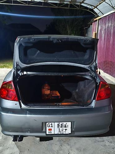 скайлан: Nissan Skyline: 2004 г., Автомат, Бензин, Седан — 4