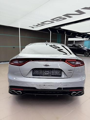 буду шины: Kia Stinger: 2018 г., 3.3 л, Автомат, Бензин, Лифтбек — 4