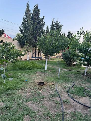 satdıq ev: Bakı, Novxanı, 300 kv. m, 5 otaqlı, Hovuzlu, Qaz, İnternet, Kombi — 5