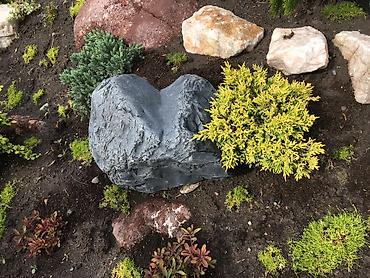 Дизайн, проектирование: Ландшафтный дизайн авто полив водопады пруды водоемы ручьи посев — 2