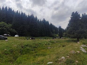 Другие автоуслуги: Принимаем заказы на бус 18 мест — 12