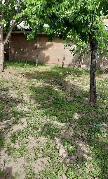 Продажа домов: Дом, 76 м², 4 комнаты, Агентство недвижимости, Косметический ремонт — 13