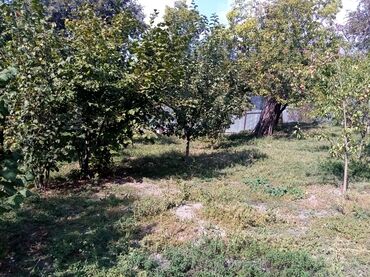 Torpaq sahələrinin satışı: 10 sot -da lalafo.az — 7 Torpaq sahələrinin satışı: 10 sot — 7