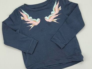 srebrny sweterek: Sweatshirt, 5-6 years, 110-116 cm, condition - Fair