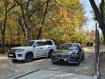 124 e500: АвтоПрокат #делегация #трансфер #встреча с аэропорта #отель — 6