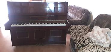 sintizator pa 50: - Məhsul: Akustik upright piano - Brend/model: Belarus (korpus — 1