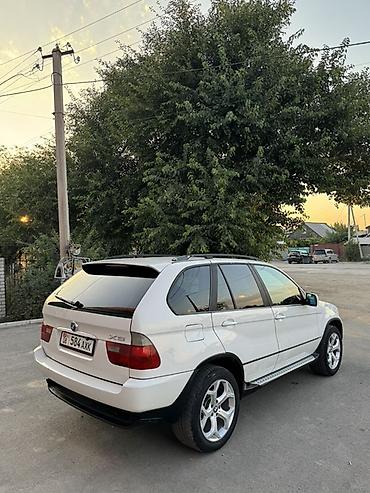 385 55: BMW X5: 2004 г., 3 л, Автомат, Бензин, Кроссовер — 10