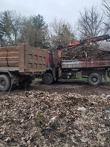 Услуги самосвала: Заказать Портер, Вывоз строй мусора — 14